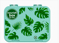 The All-Star Bento Lunch Box - Aqua palm